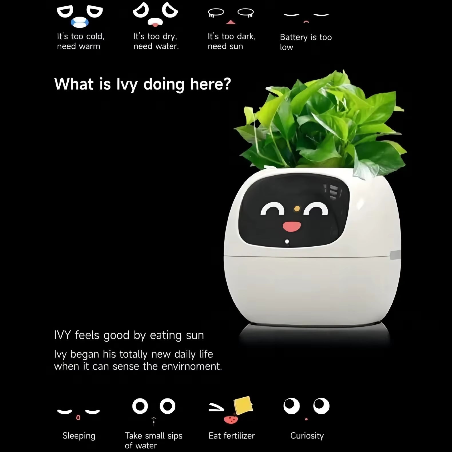 Ivy Smart Planter Endless Fun over 49 Rich Expressions 7 Smart Sensors and AI Chips Make Raising Plants Easy and Fun